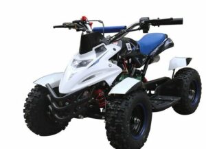 Tsilova Deutschland Elektro-Kinderquad Atv Kinderquad Noris Basic mini Quad 49cc 4 Zoll Benziner blau