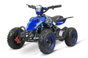 Smarty Elektro-Kinderquad 800W REPTI 6" Miniquad Kinderquad Quad blau