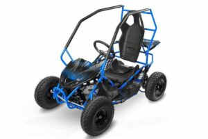 Smarty Elektro-Kinderquad Eco Gokart RACER 1000W 36V Kinderbuggy blau