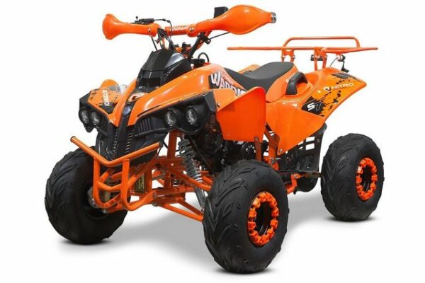 Tsilova Deutschland Elektro-Kinderquad ATV Warrior RG 8 125cc Midi Quad 8 Zoll Automatik + RG Kinderquad / Platin Serie Benziner