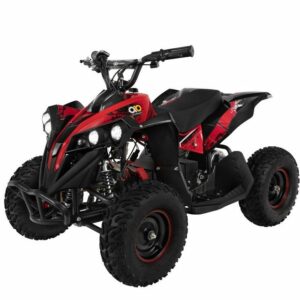 Actionbikes Motors Elektro-Kinderquad Mini Kinder Elektroquad Reneblade 1000 W 48 V