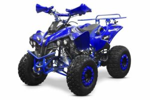 Tsilova Deutschland Elektro-Kinderquad ATV Warrior RG 8 125cc Midi Quad 8 Zoll Automatik + RG Kinderquad / Platin Serie Benziner