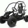 Smarty Elektro-Kinderquad Eco Gokart RACER 1000W 36V Kinderbuggy schwarz