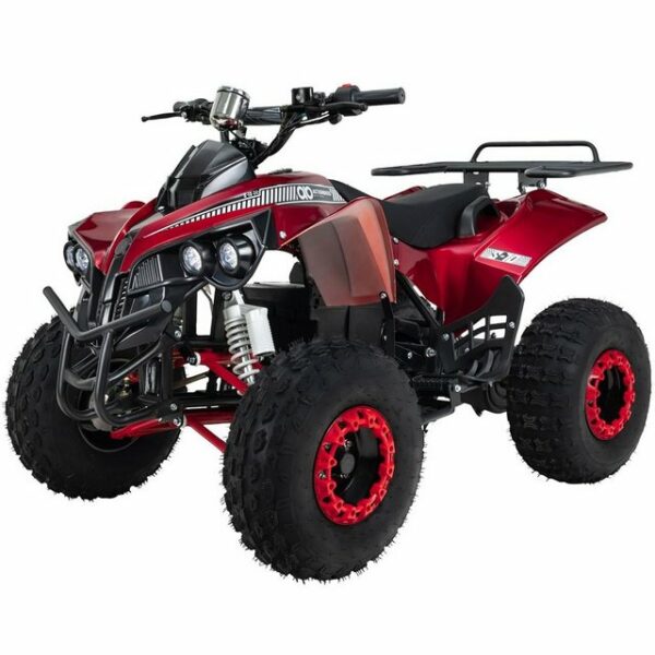 Actionbikes Motors Elektro-Kinderquad Kinder Elektroquad S10 1000 W 48 V