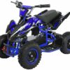 Actionbikes Motors Elektro-Kinderquad Mini Kinder Elektroquad Racer 1000 W 36 V