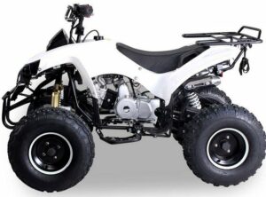 Tsilova Deutschland Elektro-Kinderquad ATV Warrior RG 8 125cc Midi Quad 8 Zoll Automatik + RG Kinderquad / Platin Serie Benziner